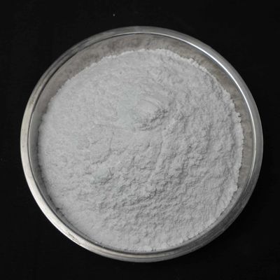 Particle Size  1 To 100μM Hydroxyapatite Powder Low Solubility CAS 1306 06 5